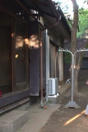Ogawa Rio: SNIS-126 – Cháu Gái Hư Hỏng, Khiêu Khích Ông Già Khát Khao Tột Độ!